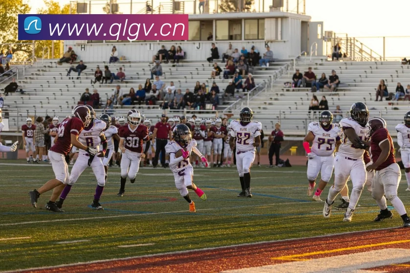 App Interface Preview